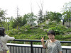 p1000885_thumb.jpg