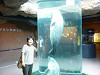 p1000891_thumb.jpg