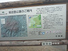 p1000955_thumb.jpg