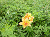 p1010014_thumb.jpg