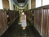 p1010061_thumb.jpg