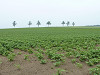 p1010088_thumb.jpg