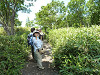 p1010295_thumb.jpg