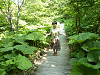 p1010366_thumb.jpg
