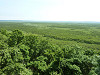 p1010369_thumb.jpg