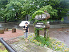 p1010476_thumb.jpg