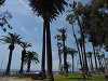 p4060054_thumb.jpg