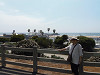p4060064_thumb.jpg