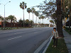 p4060115_thumb.jpg