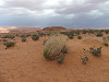 p4090293_thumb.jpg