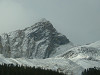 P1000956_thumb.jpg