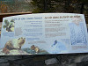 P1010031_thumb.jpg