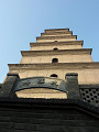 P1010230_thumb.jpg