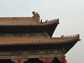 P1010501_thumb.jpg