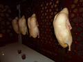 P1010580_thumb.jpg