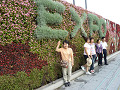p1010126_thumb.jpg