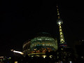 p1010146_thumb.jpg