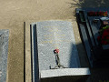 p1010241_thumb.jpg