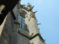 p1010248_thumb.jpg