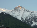 p1010608_thumb.jpg