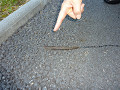 p1010630_thumb.jpg