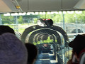 p1010863_thumb.jpg