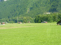 p1010897_thumb.jpg
