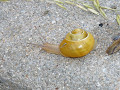 p1020132_thumb.jpg