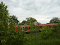 p1020144_thumb.jpg