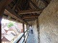 p1020308_thumb.jpg