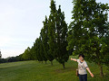 p1020442_thumb.jpg