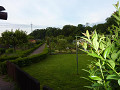 p1020446_thumb.jpg
