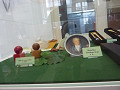 p1020598_thumb.jpg