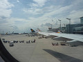 p1020641_thumb.jpg