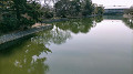 img20220311112346_thumb.jpg