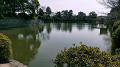 img20220311112426_thumb.jpg