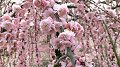 img20220325123158_thumb.jpg