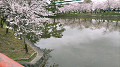img20220329100045_thumb.jpg