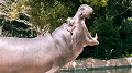 img20220412112828_thumb.jpg