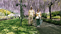img20220422095336_thumb.jpg