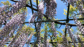 img20220422095559_thumb.jpg