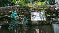 img20220422110222_thumb.jpg