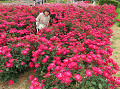 img_0010_thumb.jpg