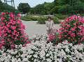 img_0019_thumb.jpg
