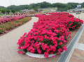 img_0021_thumb.jpg