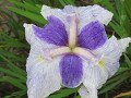 img_0069_thumb.jpg