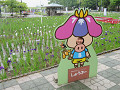 img_0075_thumb.jpg