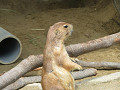 img_0142_thumb.jpg