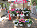 img_0060_thumb.jpg