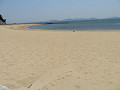 img_0102_thumb.jpg
